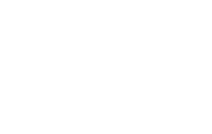 V Foundation