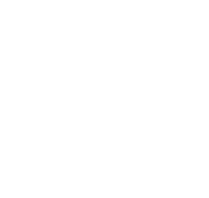 executive tattoo tours