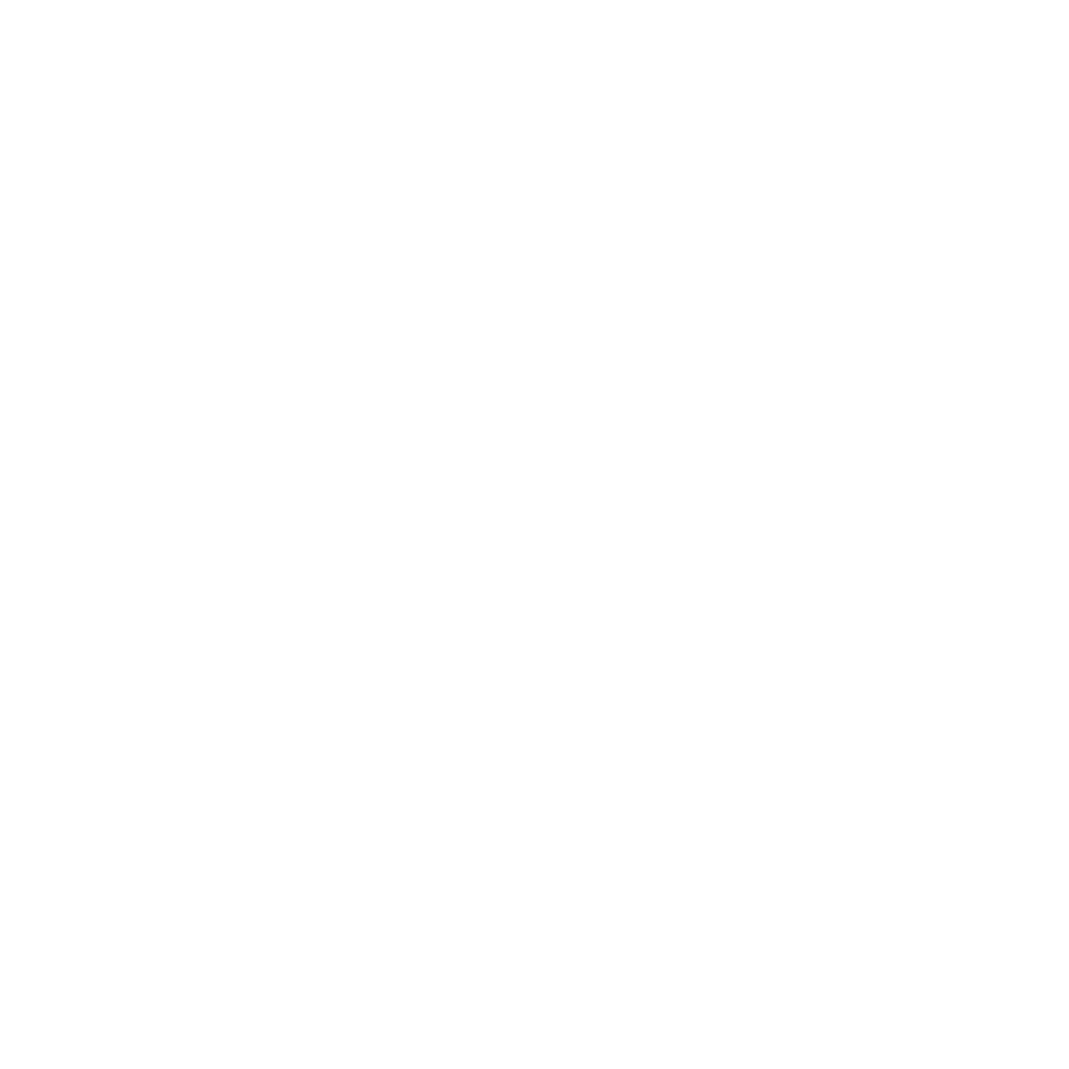 executive tattoo tours