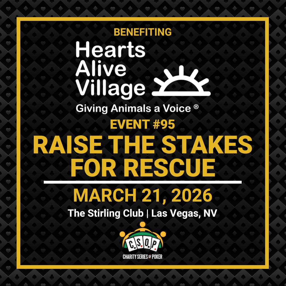 CSOP Event Raise The Stakes For Rescue