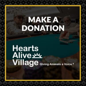 donate to hearts alive village