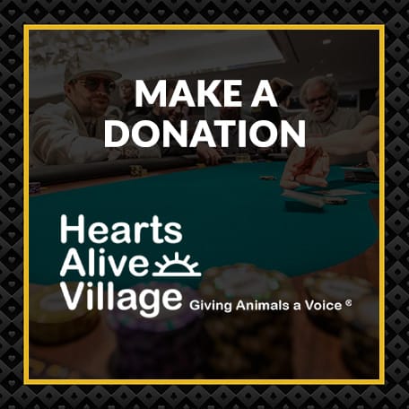 donate to hearts alive village